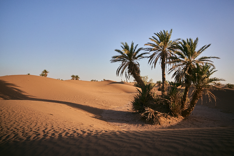 sahara marocco marocchino viaggi