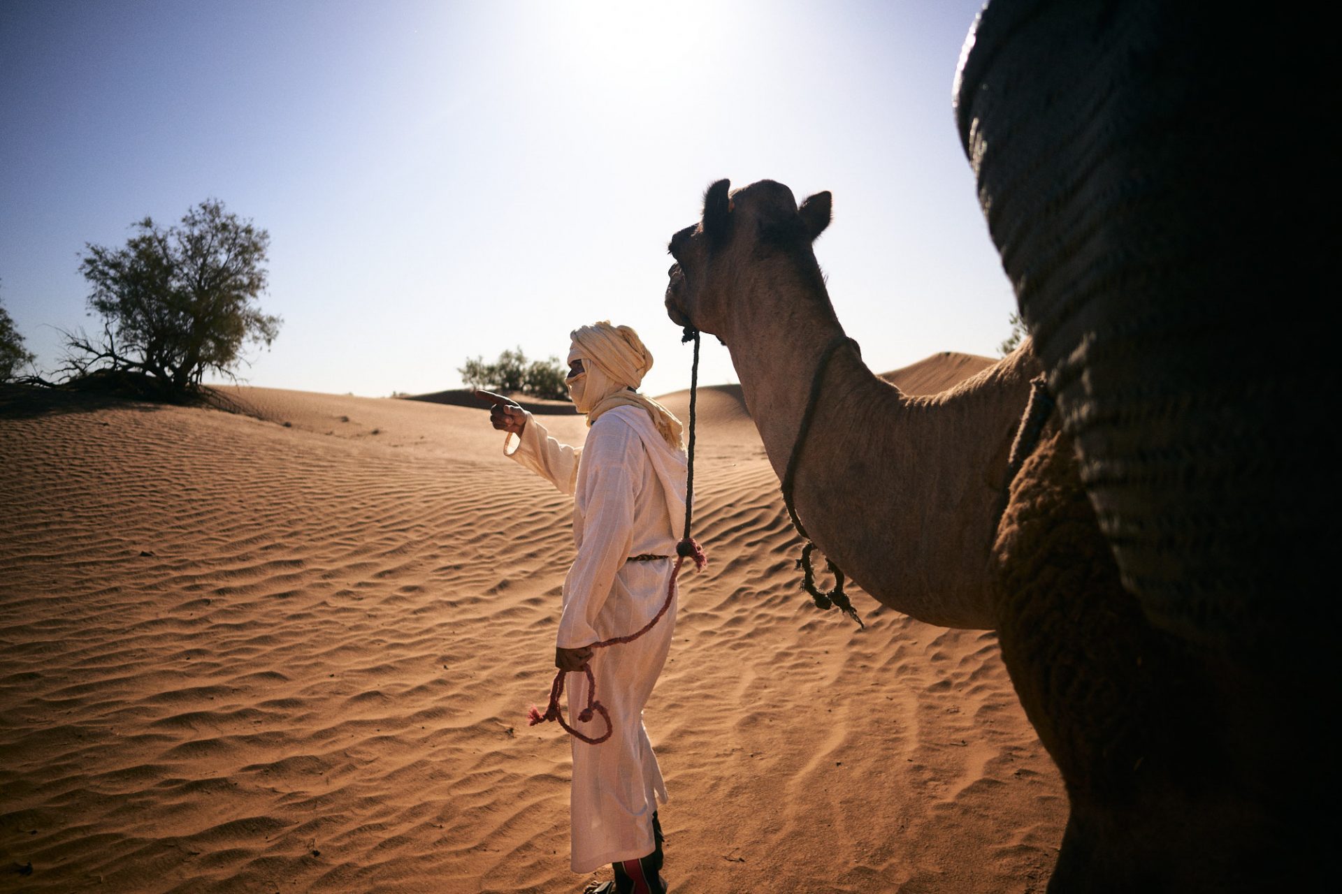 Il Deserto tra relax e Avventura